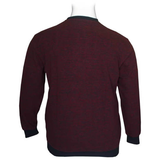 Μακρυμάνικη Μπλούζα Wool Feel με Flock 3D στάμπα της Leo Collection - Bordeaux