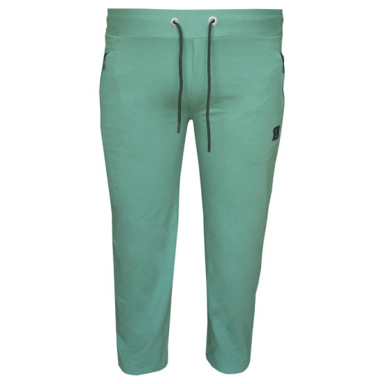 Καλοκαιρινό jersey παντελόνι φόρμας με Patch και φερμουάρ - Mint