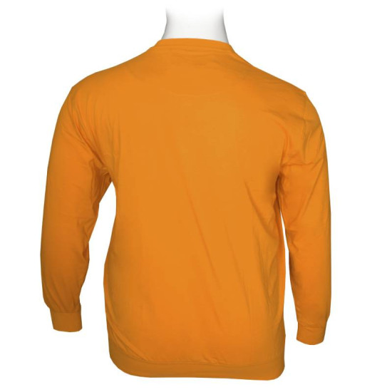 Μακρυμάνικη μπλούζα 