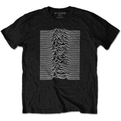 Joy Division 