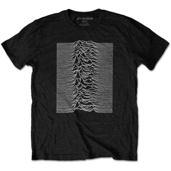 Joy Division 