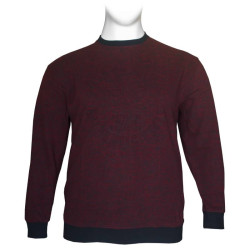 Μακρυμάνικη Μπλούζα Wool Feel με Flock 3D στάμπα της Leo Collection - Bordeaux