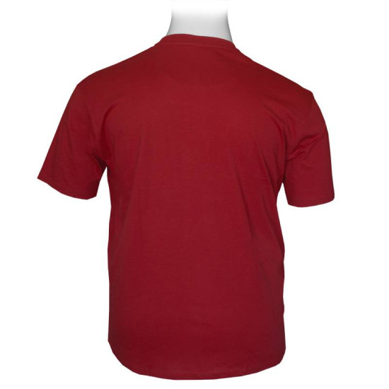 T-shirt από βαμβακερή φλάμα,