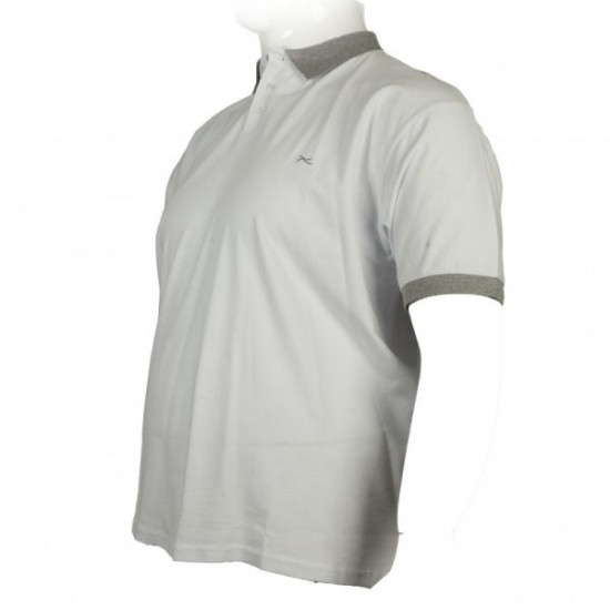 Polo πικέ ελαστικό κοντομάνικο με κεντητές λεπτομέρειες - White