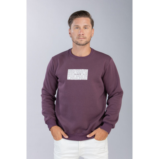 Τρίκλωνη φούτερ κολεγιακή 