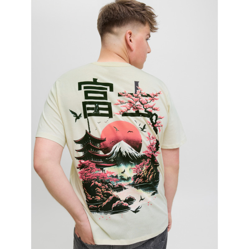 Ανανεώστε το στυλ σας με το T-shirt