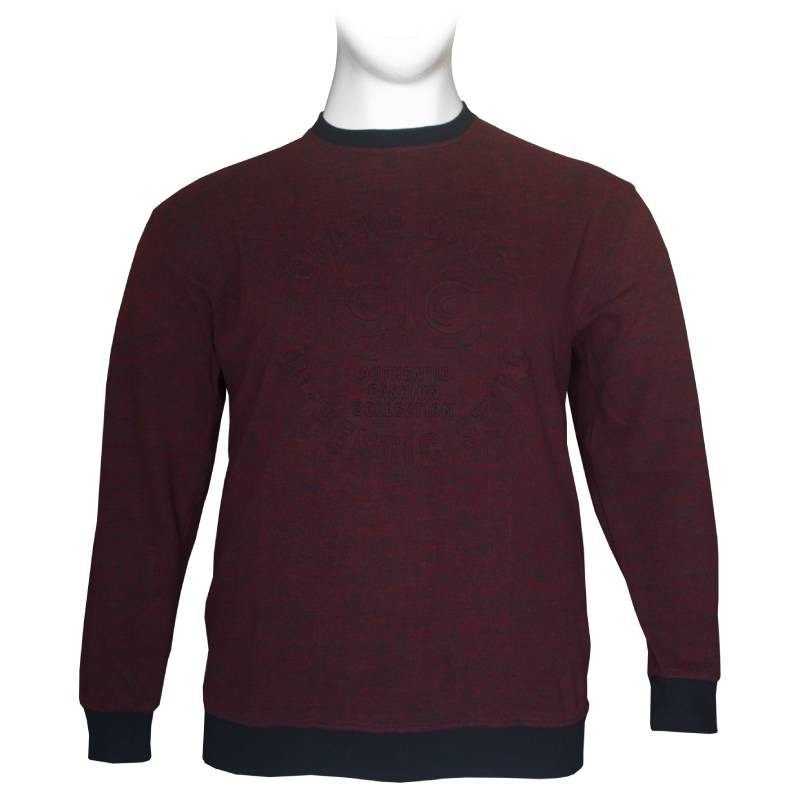 Μακρυμάνικη Μπλούζα Wool Feel με Flock 3D στάμπα της Leo Collection - Bordeaux