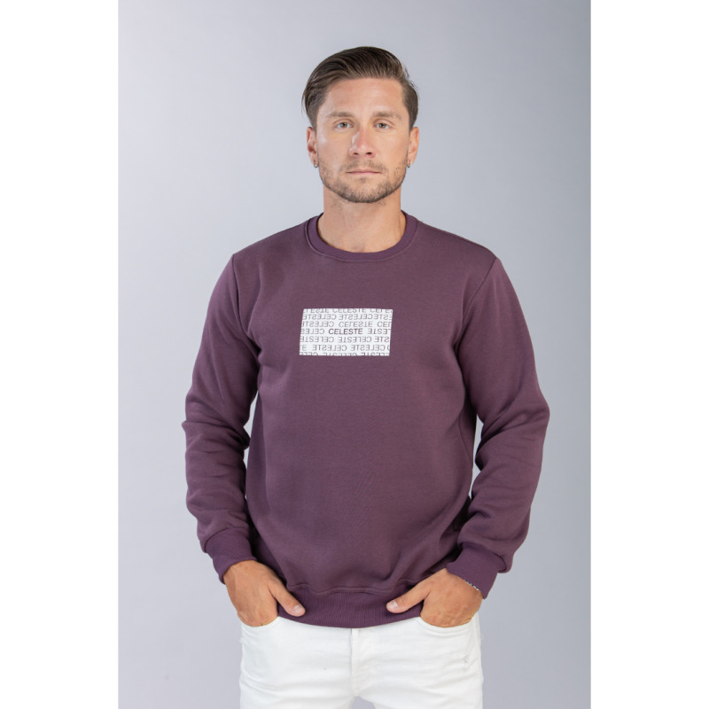 Τρίκλωνη φούτερ κολεγιακή 